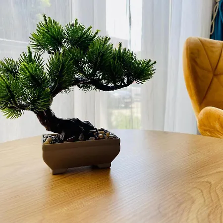 Aventurescu Coresi Braşov