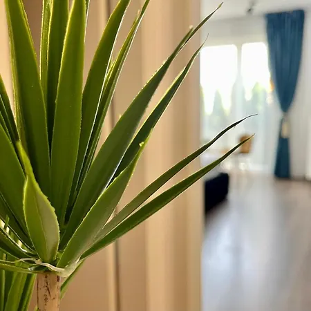 Aventurescu Coresi *