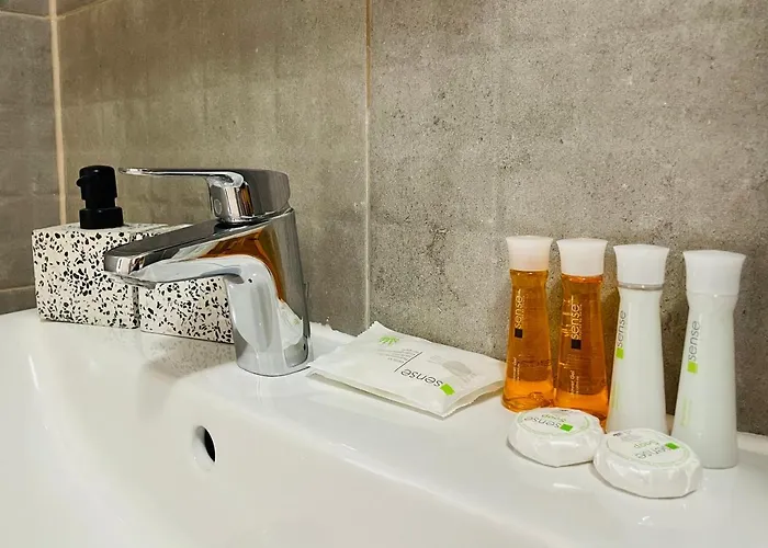 Apartment Aventurescu Coresi *