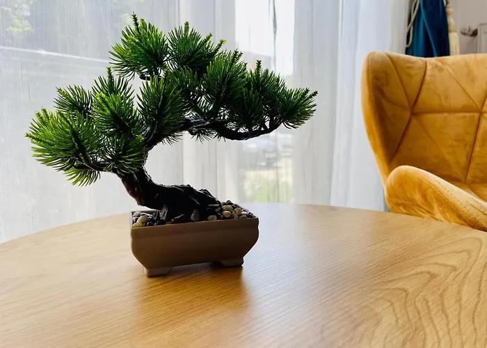 Aventurescu Coresi Brasov