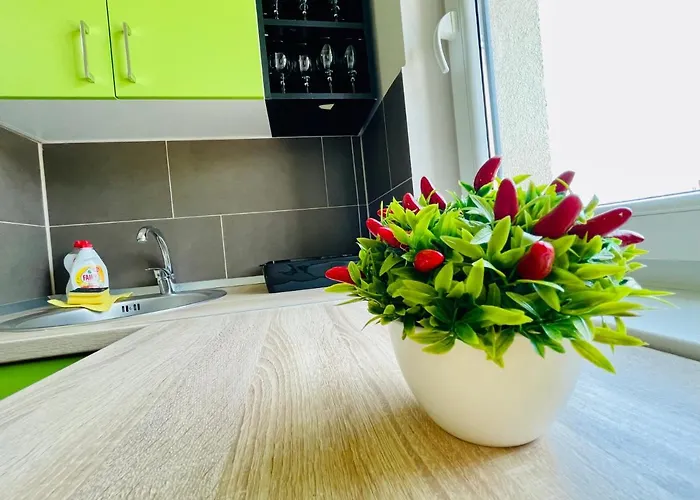 Apartment Aventurescu Coresi